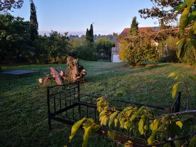 automne antre des vices