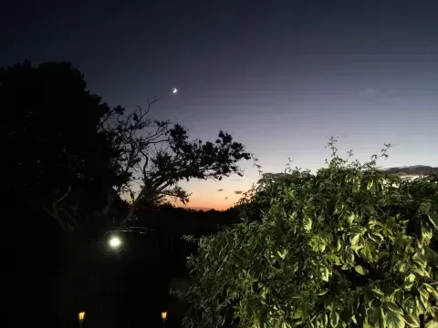 nuit antre des vices